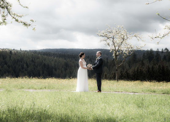 Hochzeit Waldachtal Hochzeitsfotograf Freudenstadt , Pfalzgrafenweiler bis Nagold besondere Hochzeitsbilder