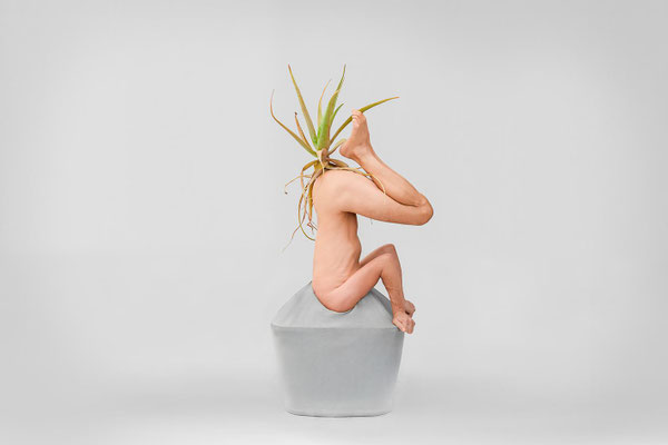 Aloe -  Fotoarbeit "Lektionen in Demut 2025" - Wolfgang Wallner, Hall i. Tirol