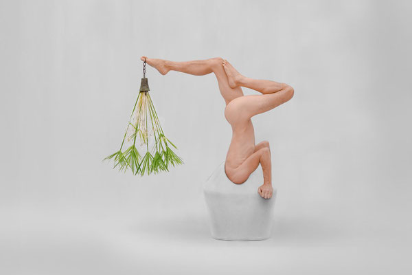 Zypressenpendel -  Fotoarbeit "Lektionen in Demut 2025" - Wolfgang Wallner, Hall i. Tirol