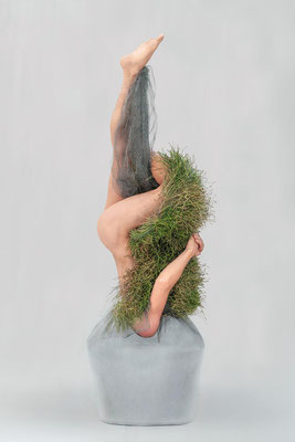 Das Fell -  Fotoarbeit "Lektionen in Demut 2025" - Wolfgang Wallner, Hall i. Tirol