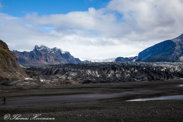 Skaftafellsjökull im Skaftafell N.P. - Island 2013