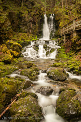 Fundy Nationalpark New Brunswick