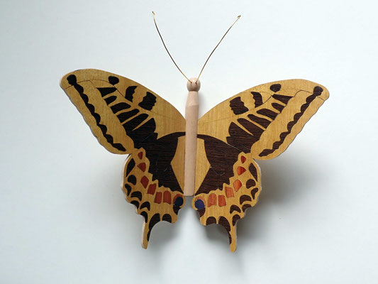 Papillon - modèle Machaon - marqueterie - Atelier Eclats de Bois - 38 isère