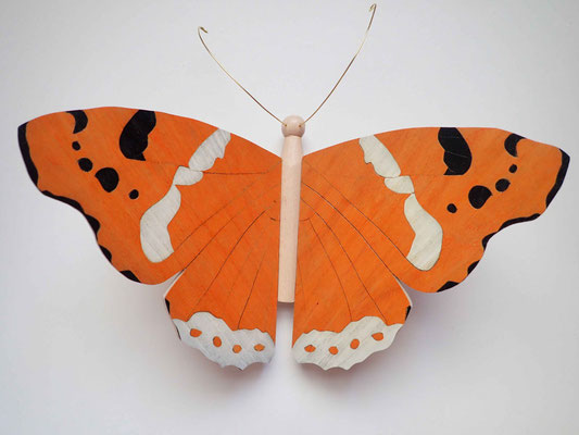 Papillon - modèle Vulcain - marqueterie