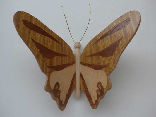 Papillon  - modèle Morpho - marqueterie