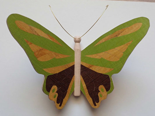 Papillon  - modèle Morpho - marqueterie