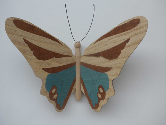 Papillon  - modèle Morpho - marqueterie