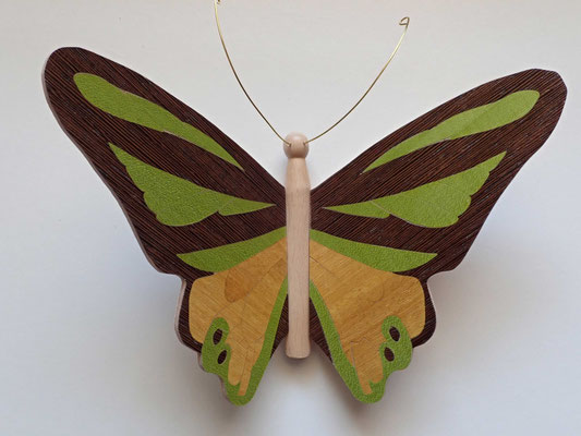 Papillon  - modèle Morpho - marqueterie