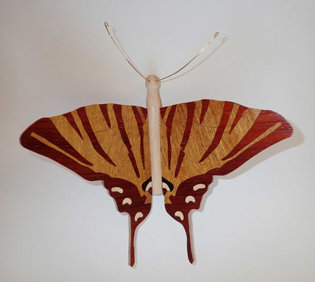 Papillon - modèle Flambé - marqueterie