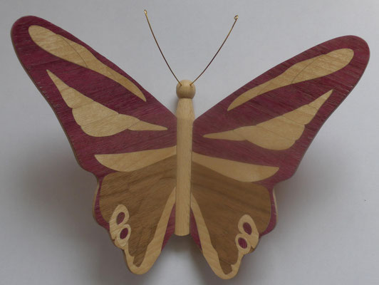 Papillon  - modèle Morpho - marqueterie