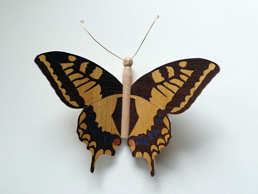 Papillon - modèle Machaon - marqueterie
