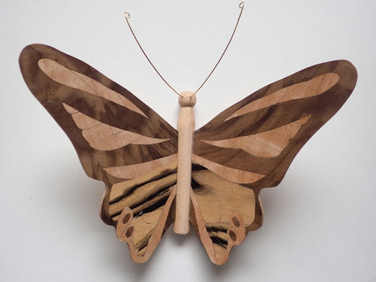 Papillon  - modèle Morpho - marqueterie