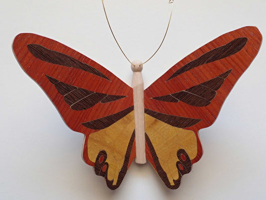 Papillon  - modèle Morpho - marqueterie