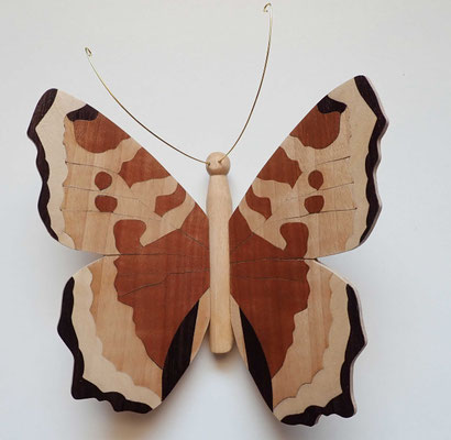 Papillon - modèle Petite tortue - marqueterie