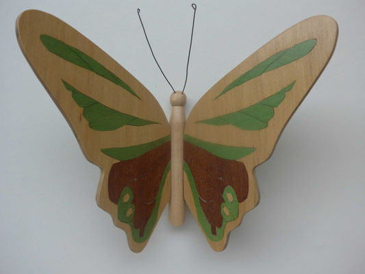 Papillon  - modèle Morpho - marqueterie