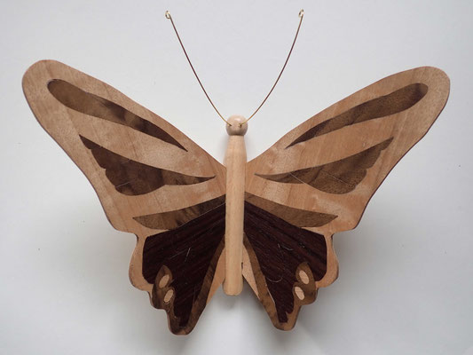 Papillon  - modèle Morpho - marqueterie