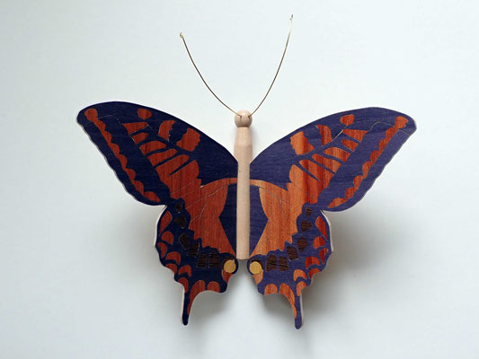Papillon - modèle Machaon - marqueterie