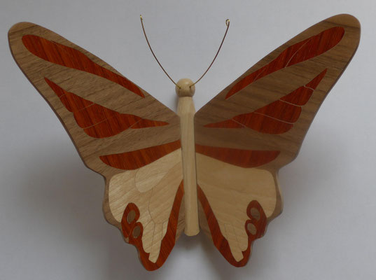 Papillon  - modèle Morpho - marqueterie