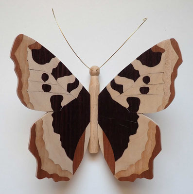 Papillon - modèle Petite tortue - marqueterie