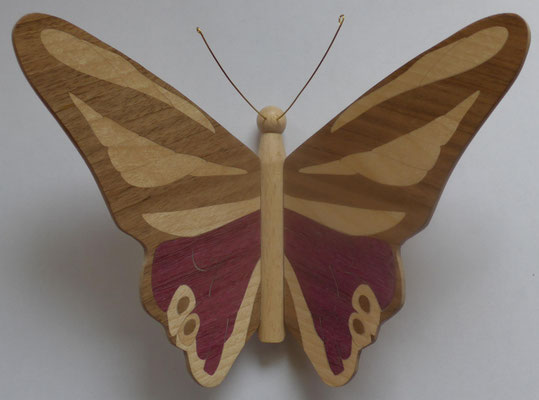 Papillon  - modèle Morpho - marqueterie