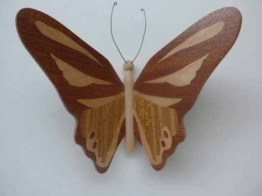 Papillon  - modèle Morpho - marqueterie