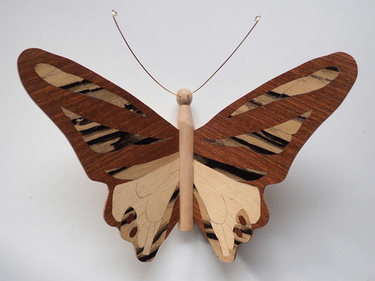 Papillon  - modèle Morpho - marqueterie
