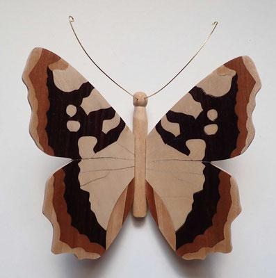 Papillon - modèle Petite tortue - marqueterie