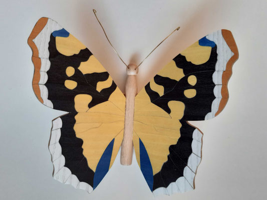 Papillon - modèle Petite tortue - marqueterie