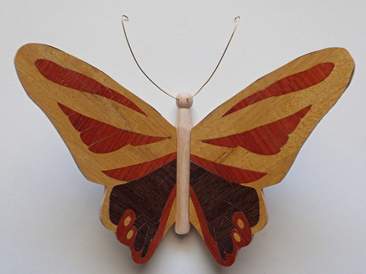 Papillon  - modèle Morpho - marqueterie