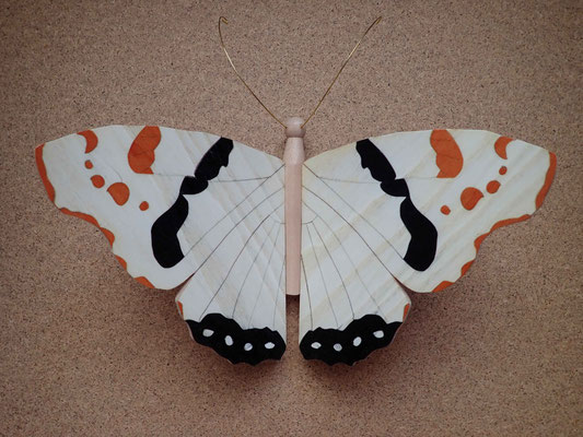 Papillon - modèle Vulcain - marqueterie