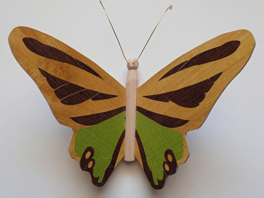 Papillon  - modèle Morpho - marqueterie