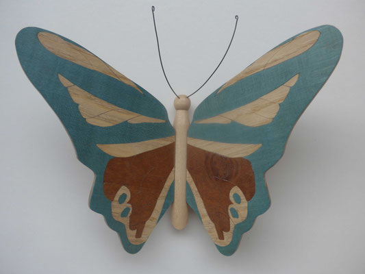 Papillon  - modèle Morpho - marqueterie
