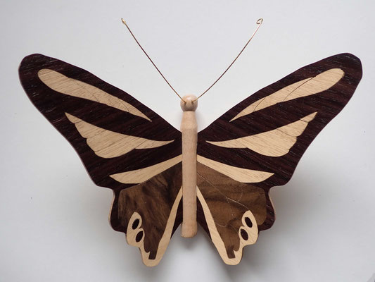 Papillon  - modèle Morpho - marqueterie