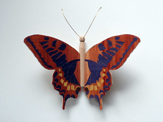 Papillon - modèle Machaon - marqueterie