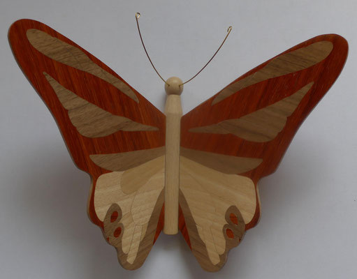 Papillon  - modèle PPC - marqueterie - Atelier Eclats de Bois - 38 isère