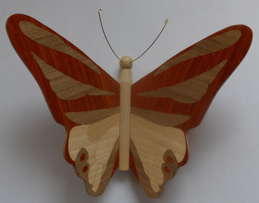 Papillon  - modèle Morpho - marqueterie