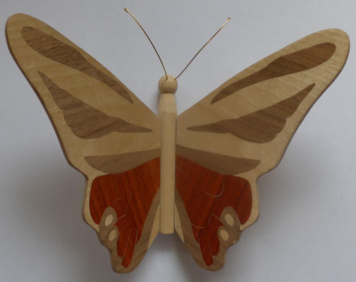Papillon  - modèle Morpho - marqueterie