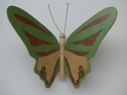 Papillon  - modèle Morpho - marqueterie