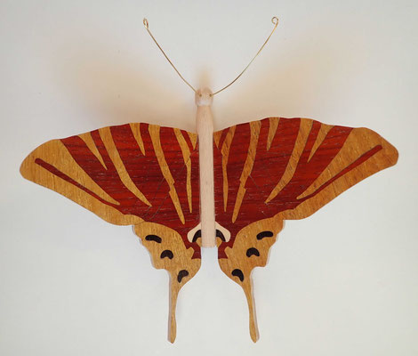 Papillon - modèle Flambé - marqueterie