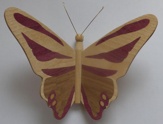 Papillon  - modèle Morpho - marqueterie