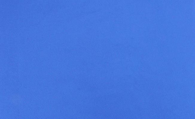 hb grip puhlmann cine digtal blue