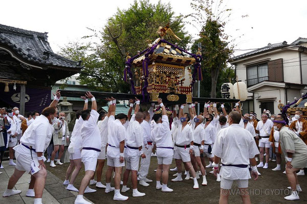 神社神輿の揉み。さし