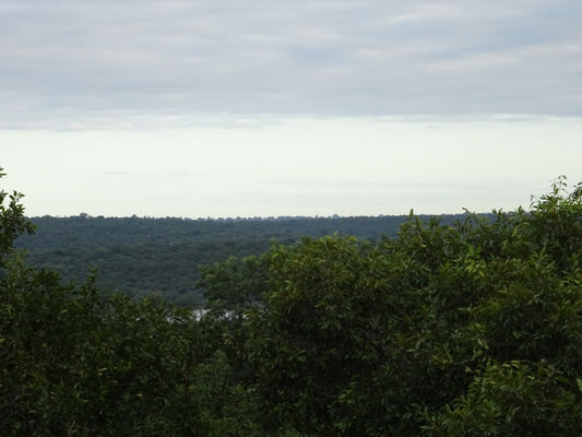 Blick nach Südosten über den Bush!