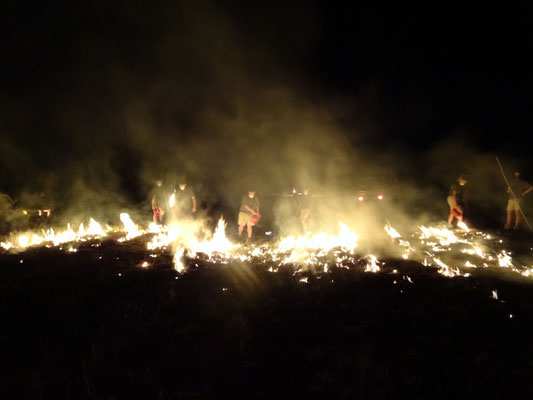 Feuer bekämpft man mit Gegenfeuer