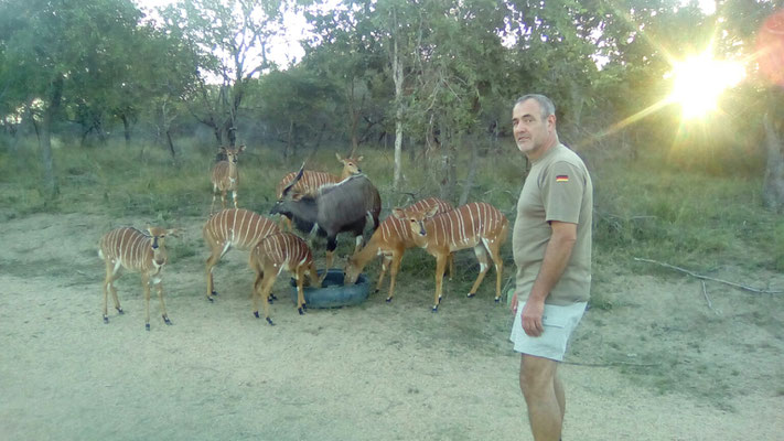 Keine Angst --- ich esse den Nyalas nichts weg:-)!