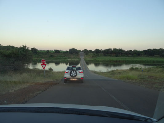 Crocodile Bridge