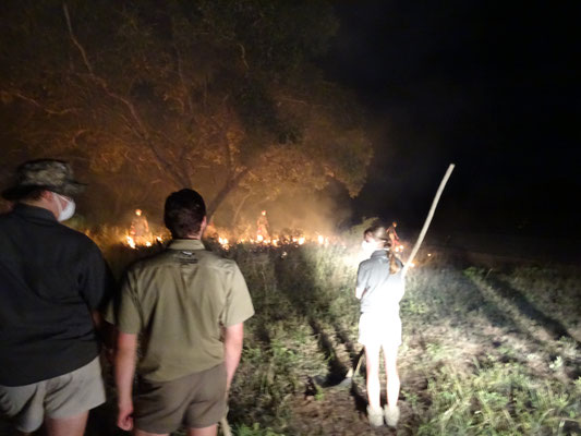 Immer parat mit "Feuerbatschen"