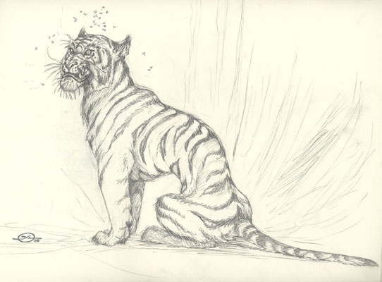 Benjamin von Eckartsberg - Character Design - Maneater/ Tiger - Freie Arbeit
