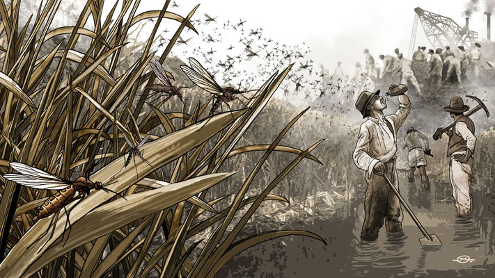 Benjamin von Eckartsberg - Illustration - Panama Canal - Mosquitos - Kunde: Allianz