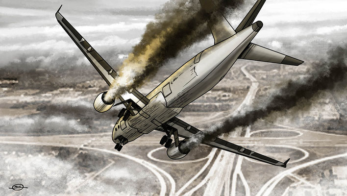 Benjamin von Eckartsberg - History of risk - Plane crash - Kunde: Allianz